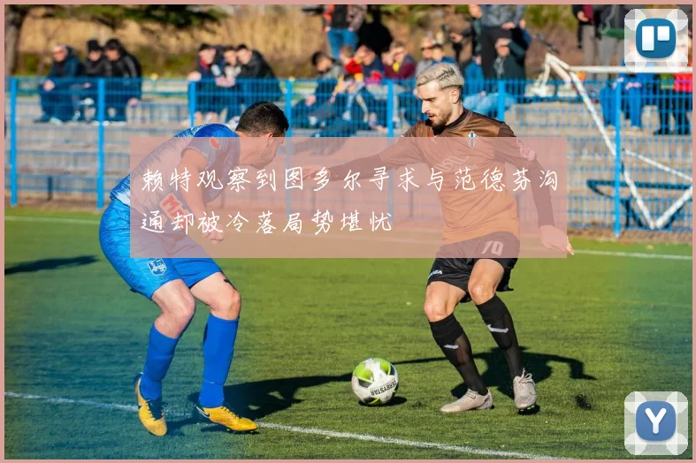 赖特观察到图多尔寻求与范德芬沟通却被冷落局势堪忧